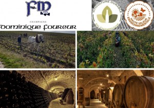 Maison-Dominique-Foureur