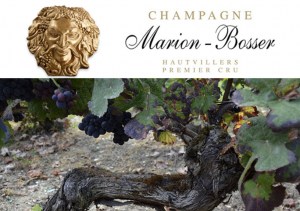 Maison-Marion-Bosser
